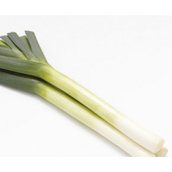 Por Longton f1 10 tyś. nasion Primed ST